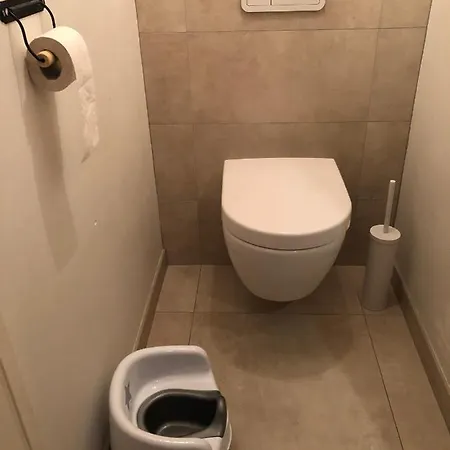 Apartment Magnifique Appart + Terrasse De 35m² Strasbourg